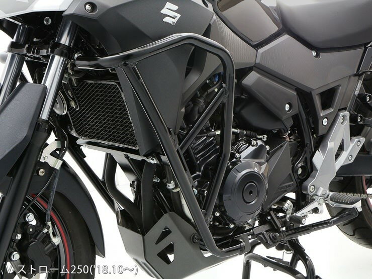 ENDURANCE ����ǥ��� �����ɥ����륬���� V-���ȥ�����250 SUZUKI ������ ���󥸥󥬡��� �ե졼��