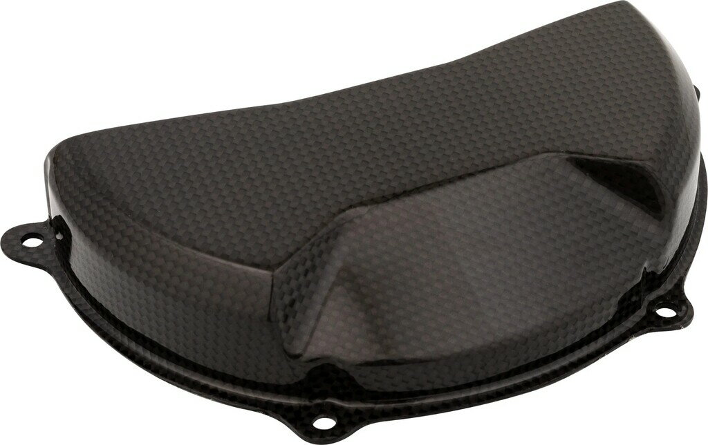 LighTech ライテック ドライカーボン クラッチカバー PANIGALE V4 S DUCATI ドゥカティ エンジンパーツ エンジン