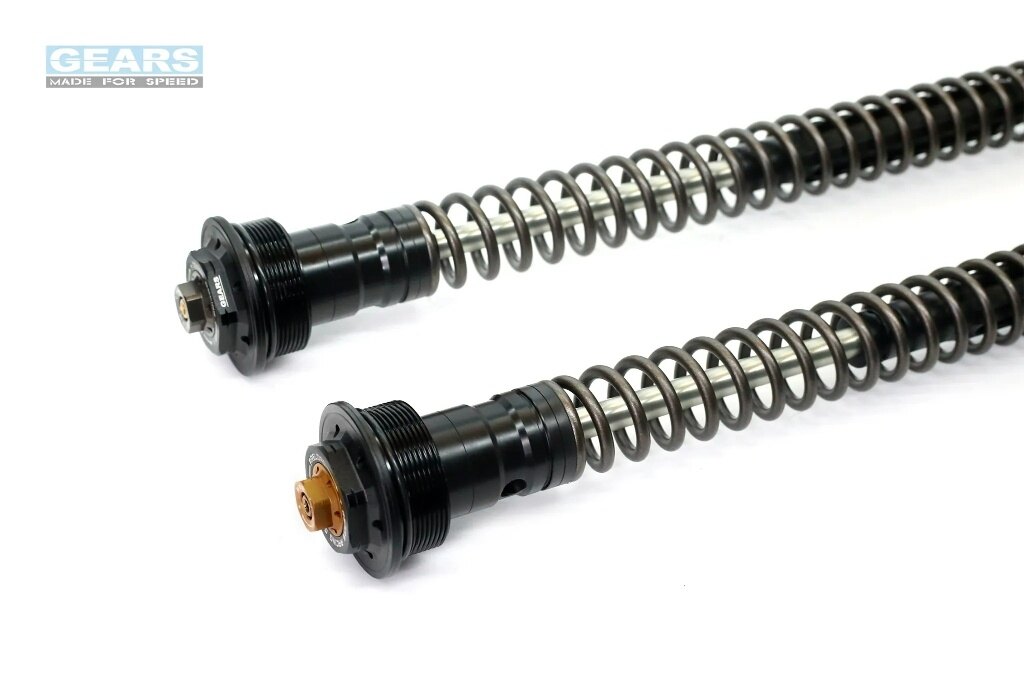 GEARS RACING ギアーズレーシング FFC-250-TT フロントフォークカートリッジ (倒立...