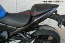 SPEEDRA スピードラ テールサイドカバー 左右セット ドライカーボン GSX-S1000F GSX-S1000 SUZUKI スズキ シートカウル・テール...