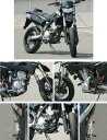 BEET ビート マシンプロテクターセット Dトラッカー DトラッカーX KLX250 KAWASAKI カワサキ KAWASAKI カワサキ KAWASAKI カワサキ