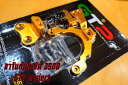 GT Project ジーティープロジェクト Steering Damper Mount Z900 (2017-) KAWASAKI カワサキ