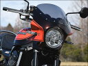 CHIC DESIGN シックデザイン マスカロード Z900RS KAWASAKI カワサキ スクリーンカラー：スモーク / 【3色塗装】キャンディトーングリーン(年式：20-’21／カラーコード：65G／備考：タイガー) 1