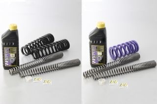 HYPERPRO ハイパープロ コンビキット TIGER 900 RALLY PRO TRIUMPH トライアンフ フロント・リアスプリングキット サスペンション 足回り