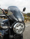 Magical Racing マジカルレーシング バイザースクリーン Z900RS SE KAWASAKI カワサキ スクリーン 外装 タイプ:平織りカーボン製...