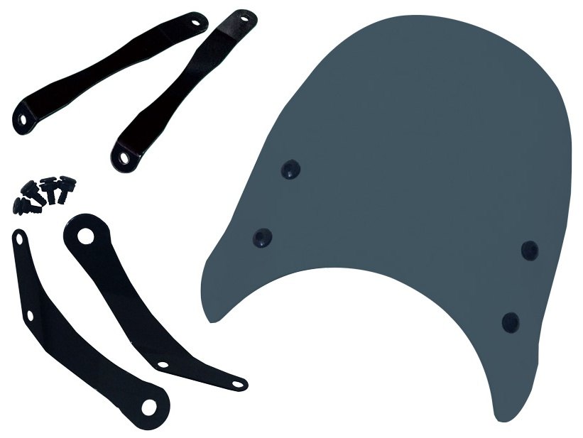 World Walk ワールドウォーク メーターバイザー XSR155 YAMAHA ヤマハ カウル関連 外装