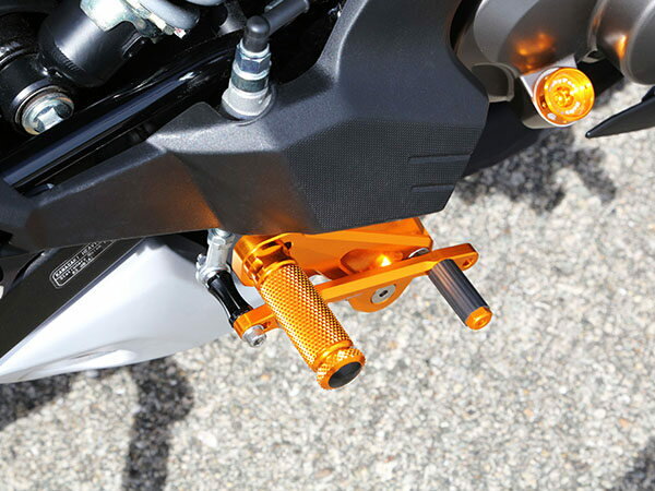BABYFACE ベビーフェイス ステップキット逆チェンジモデル Z125 プロ KAWASAKI カワサキ バックステップ ステップ 足回り 2