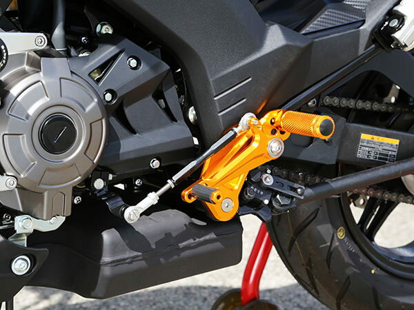 BABYFACE ベビーフェイス ステップキット逆チェンジモデル Z125 プロ KAWASAKI カワサキ バックステップ ステップ 足回り 3