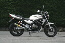 RPM アールピーエム RPM-67Racingフルエキゾーストマフラー バリオス2 KAWASAKI カワサキ