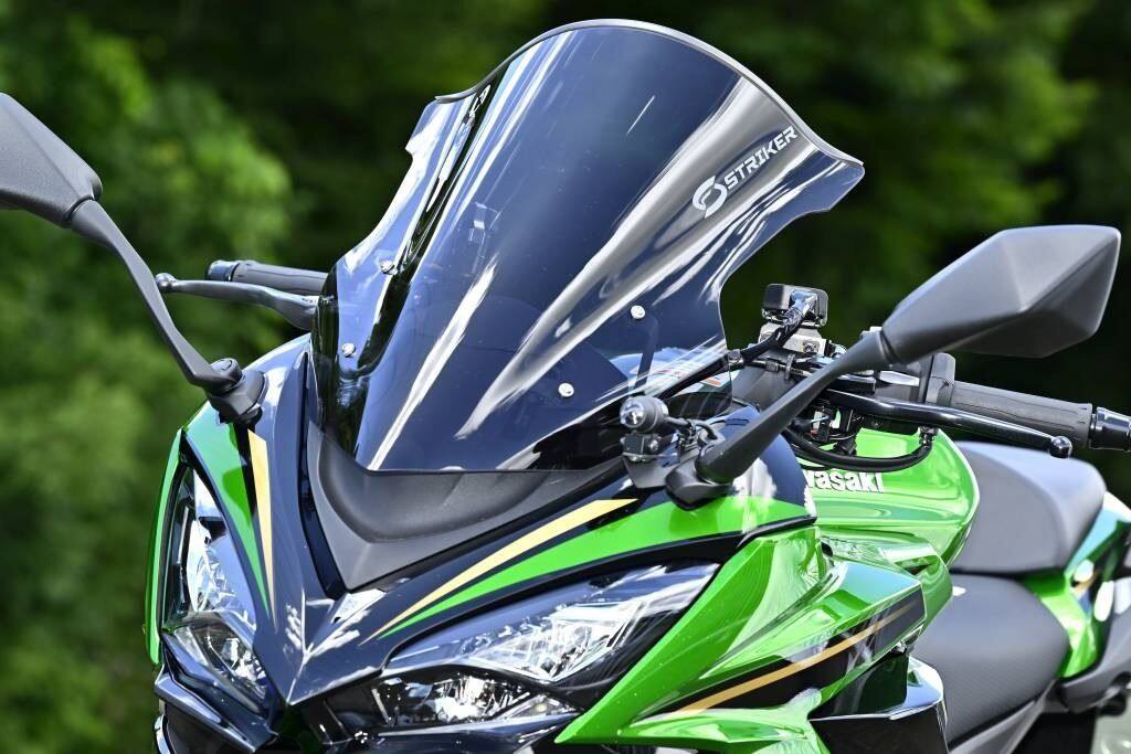 STRIKER ストライカー エアロスクリー