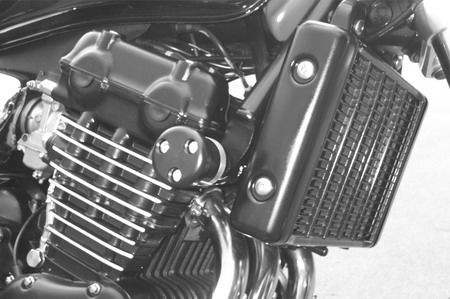 Ladybird レディバード フレームスライダー 98 Legend TT TRIUMPH トライアンフ エンジンスライダー・フレームスライダー フレーム