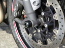 BABYFACE ベビーフェイス アクスルプロテクター フロント DAYTONA675 STREET TRIPLE TRIUMPH トライアンフ アクスルスライ...