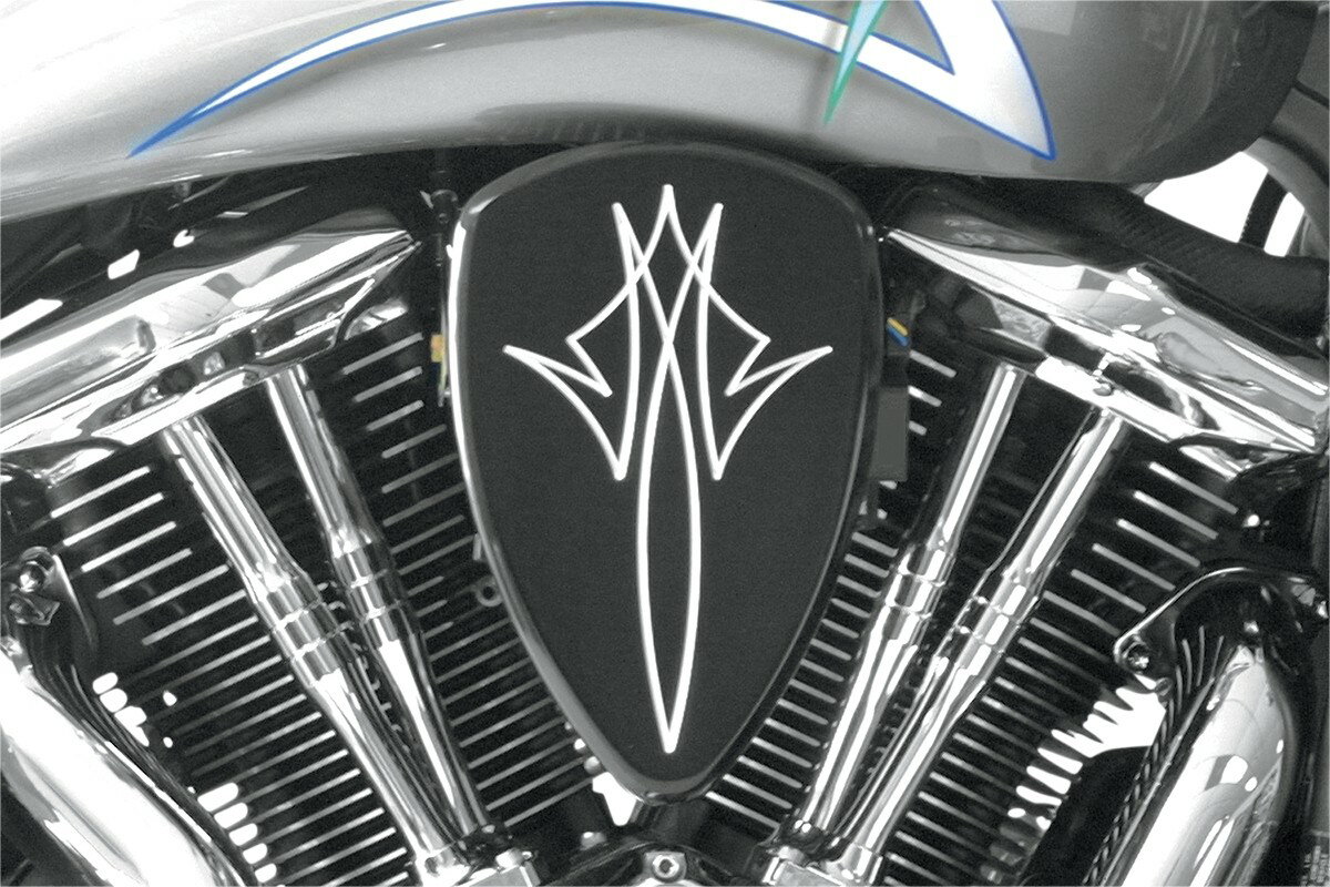 BARON バロン ビッグエアクリーナーキットピンストライプ VN900用【BIG AIR KIT PSTRP VN900】 VN900B Vulcan Classic 2006 - 2015 VN900D LT KAWASAKI カワサキ エアクリーナー・エアクリーナーエレメント 吸気関連 エンジン カラー：ブラック(アノダイズド) [1010-0773]