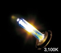 Absolute アブソリュート リペアバルブ LOWタイプ HID補修バルブ 灯火類 電装系
