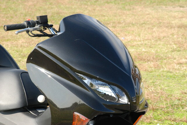 Rible リブレ L／C フロントフェイスパネル FORZA[フォルツァ] HONDA ホンダ アッパーカウル・フロントカウル カウル関連 外装
