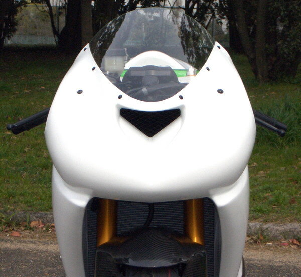 CLEVER WOLF クレバーウルフ スクリーン ZX-6RR KAWASAKI カワサキ 外装