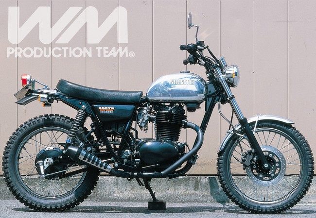 WM ダブルエム Wシート I 250TR KAWASAKI カワサキ