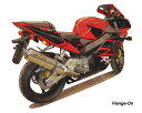 Two Brothers Racing ツーブラザーズレーシング フランジオンマフラー M2カーボンサイレンサー CBR954RRファイアーブレード HONDA ホンダ