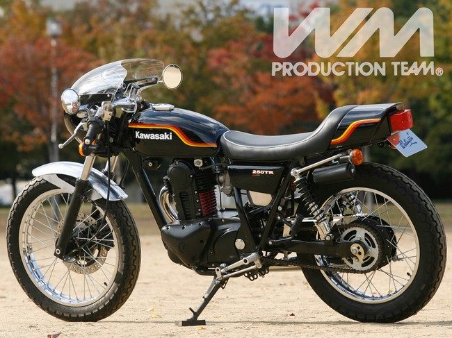 WM ダブルエム マッハモード テールカウル COMP 250TR KAWASAKI カワサキ