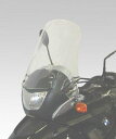 ISOTTA イソッタ ウインドシールド F650GS BMW スクリーン 外装(2)