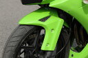 EIGHT(才谷屋) エイト(サイタニヤ) フロントフェンダー ニンジャ250R KAWASAKI カワサキ フェンダー関連 外装