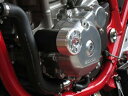 P&A International P&Aインターナショナル 衝撃吸収ダンパー内蔵クラッシュパッド X-Pad CB1300 HONDA ホンダ エンジンスライ...
