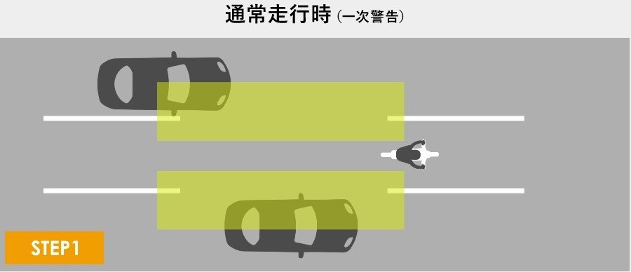 SPHERE LIGHT ���ե����饤�� Sphere BSD ������Ѹ��Υ����ƥ� ����¾GPS���졼�������ʥӥ��ץ�����佤���� �Żҵ�����