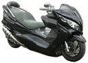 WirusWin ウイルズウィン エアロパーツスペシャルセット スカイウェイブ250 SUZUKI スズキ フルカウル・外装セット カウル関連 外装 塗装無し ...