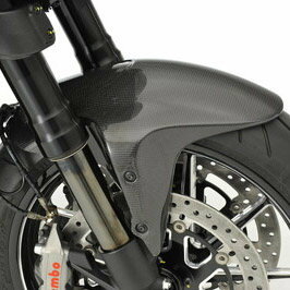 de LIGHT ディライト ロングノーズフロントフェンダー DIAVEL [ディアベル] DUCATI ドゥカティ フロントフェンダー フェンダー関連 外装