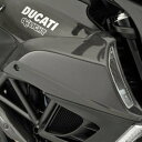 de LIGHT ディライト ナロータイプサイドエアダクト DIAVEL [ディアベル] DUCATI ドゥカティ