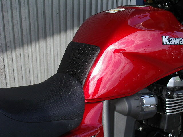 PLEASURE プレジャー タンクパッド ショートタイプ ZRX1200DAEG [ダエグ] KAWASAKI カワサキ タンク関連 外装