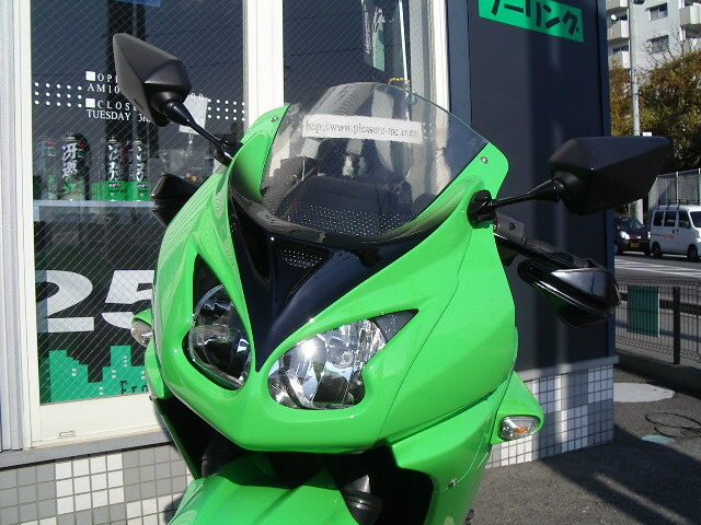 PLEASURE プレジャー Ninja250R フェイスパネル Type-2 NINJA250R ［ニンジャ］