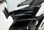 Carbon Variasi カーボンバリアシ ウイングレット CBR250RR