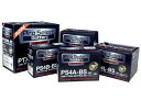 Pro Select Battery プロセレクトバッテリー オートバイ用12Vバッテリー 750SS 900SS 996S 996SPS V-MAX 1200 ビラーゴ750 DUCATI ドゥカティ DUCATI ドゥカティ DUCATI ドゥカティ DUCATI ドゥカティ YAMAHA ヤマハ YAMAHA ヤマハ YAMAHA ヤマハ YAMAHA ヤマハ