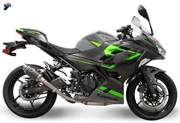 TERMIGNONI テルミニョーニ GPクラシックタイプ スリップオンサイレンサー NINJA400 Z400 KAWASAKI カワサキ スリップオンマフラー マフラー