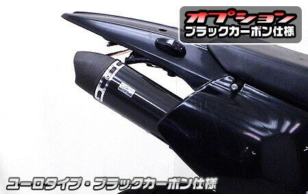 KAWASAKI - WirusWin ウイルズウィン スリップオンマフラー ユーロタイプ ブラックカーボン仕様 Dトラッカー KAWASAKI カワサキ マフラー