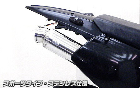 KAWASAKI - WirusWin ウイルズウィン スリップオンマフラー スポーツタイプ チタン仕様 Dトラッカー KAWASAKI カワサキ マフラー
