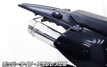 WirusWin ウイルズウィン スリップオンマフラー ポッパータイプ チタン仕様 Dトラッカー KAWASAKI カワサキ マフラー