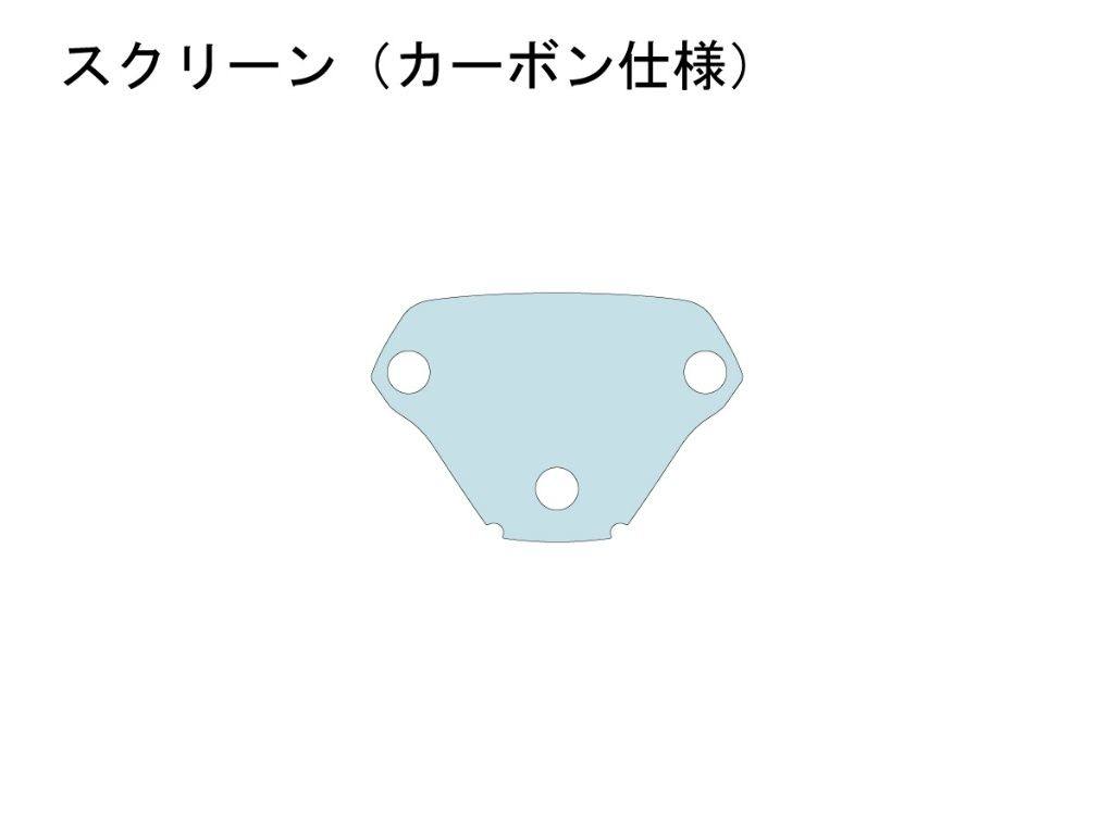 ECHELON エシュロン スクリーン(カーボン仕様)【QUATECT】 M1000R BMW プロテクションフィルム・保護フィルム 外装