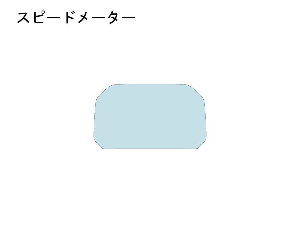 ECHELON エシュロン スピードメーター【QUATECT】 M1000R BMW プロテクションフィルム・保護フィルム 外装