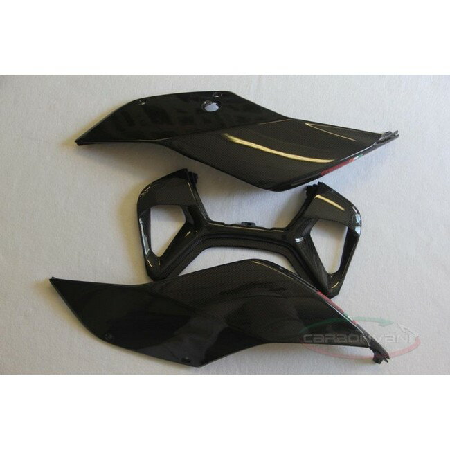 CARBONVANI カーボンバーニ テールカウル 1199 PANIGALE [パニガーレ] DUCATI ドゥカティ シートカウル・テールカウル カウル関連 外装