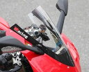 Magical Racing マジカルレーシング カーボントリムスクリーン 1199Panigale DUCATI ドゥカティ スクリーン 外装