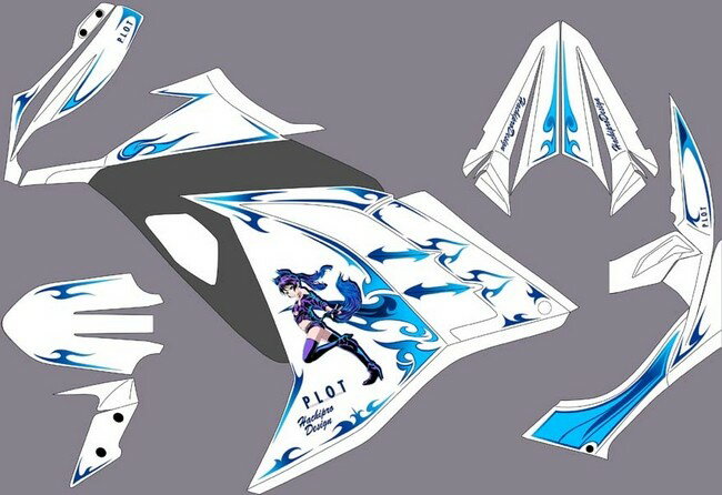 PLOT プロト デカールキット Ninja250 [ニンジャ250 ] KAWASAKI カワサキ ステッカー・デカール 外装