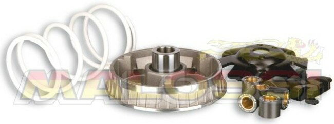 MALOSSI マロッシ マルチバリエーター2000 LX 3V euro 3 PRIMAVERA/SPRINT i-GET SPRINT 3V euro3/i-Get euro4 PIAGGIO ピアジオ