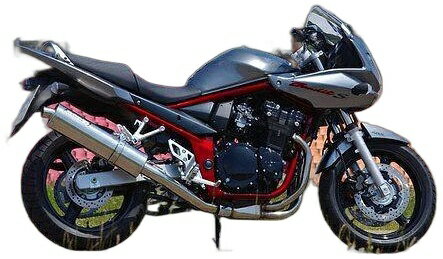 751 cc 〜 - BODIS ボディス スリップオンマフラー フルチタン Oval 1OK G GSF600 94-03 SUZUKI スズキ マフラー