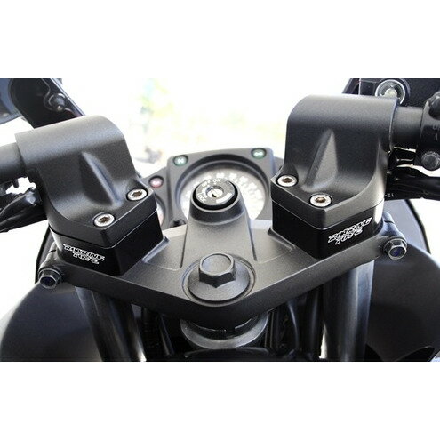 ROARING TOYZ ロアリングトイズ ローダウンキット NINJA300 [ニンジャ300] KAWASAKI カワサキ サスペンション 足回り 2