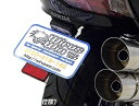 WirusWin ウイルズウィン フェンダーレスキット フォルツァ Si Forza300 HONDA ホンダ フェンダー関連 外装