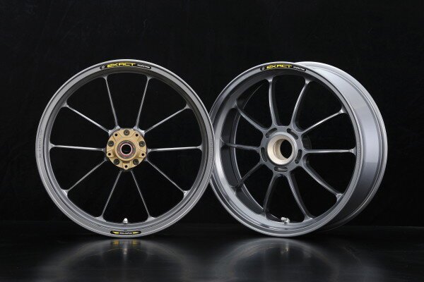 ADVANTAGE アドバンテージ EXACT [イグザクト] RACING 10 フル鍛造マグネシウムホイール 1199 PANIGALE 1299 v4 v4R DUCATI ドゥカティ ホイール ホイール関連 足回り