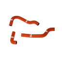 SAMCO SPORT サムコスポーツ クーラントホース(ラジエーターホース) Beta 80 BETA ベータ ラジエーター 冷却関連 エンジン カラー:ソー...