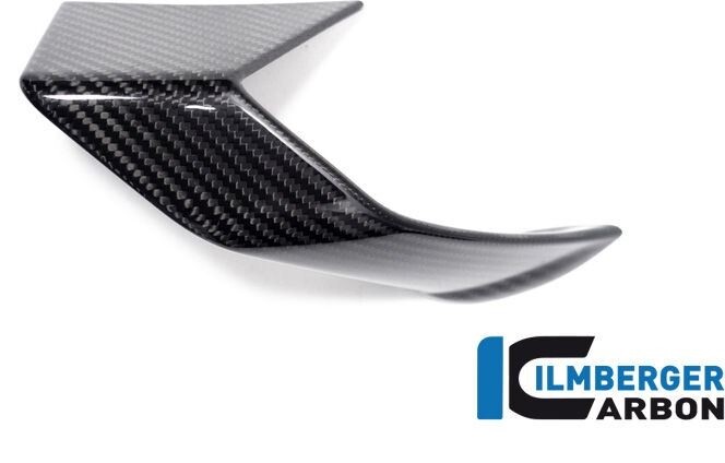 ILMBERGER イルムバーガー フェアリングサイドウイングレット左側 S1000R BMW その他外装 外装